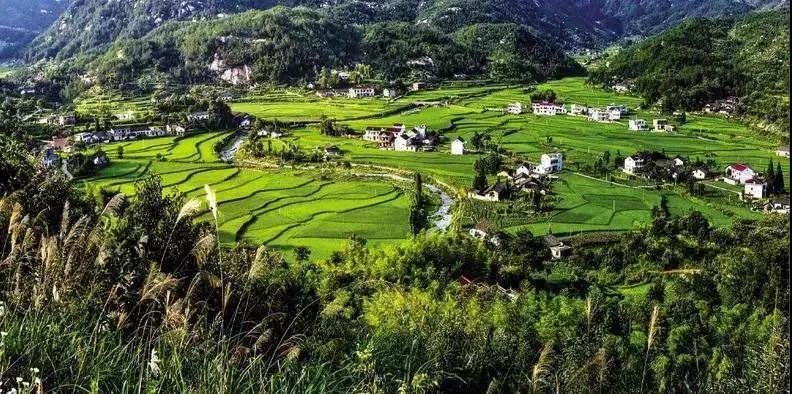 農(nóng)旅康養(yǎng)旅游項(xiàng)目，策劃才是靈魂！